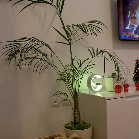 Apartment Marija